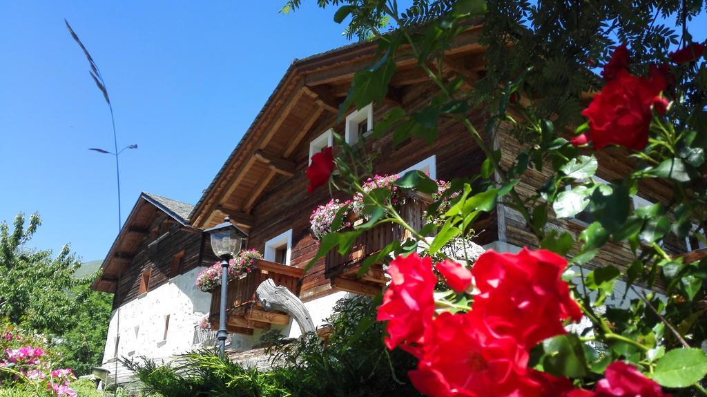Agriturismo Raethia Isolaccia Extérieur photo